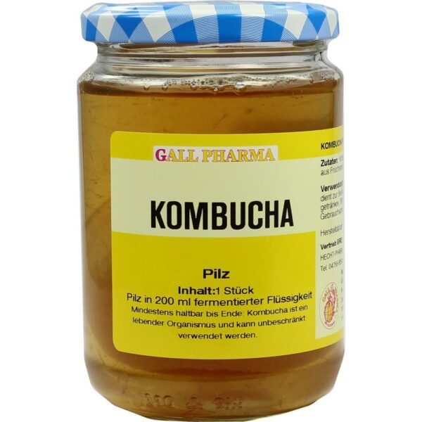 KOMBUCHA TEEPILZ