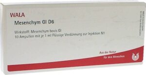 Mesenchym Gl D6 Ampullen