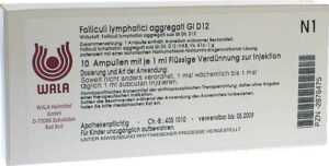 Folliculi lymphatici aggregati GL D 12 Ampullen