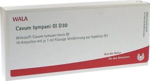 Cavum tympani Gl D30 Ampullen