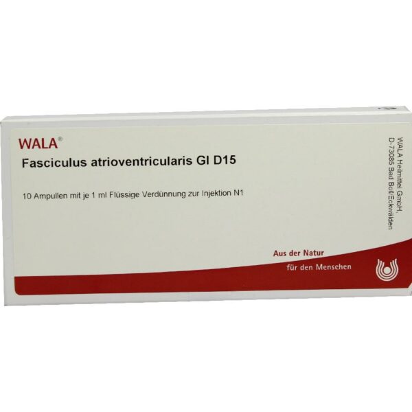 FASCICULUS atrioventricularis GL D 15 Ampullen