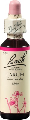 BACHBLÜTEN Original Larch Nr.19