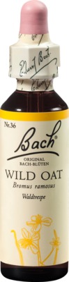 BACHBLÜTEN Original Wild Oat Nr.36