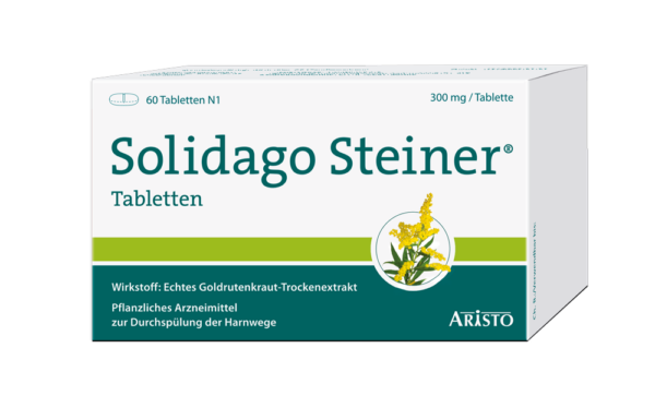 Solidago Steiner